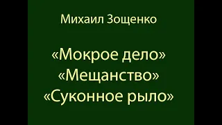 Михаил Зощенко "Мокрое дело", "Мещанство", "Суконное рыло" аудиокнига