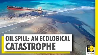 OIL SPILL: An Ecological Catastrophe | Mauritius | Dolphins | Protest | WION World