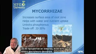 Харли Смит микробиология почвы и здоровье растений