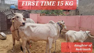 👍15 KG FIRST TIME👍 PREGNANT BY👍 RUDRANATH AND HAVING 👌DAUGHTER OF BADRINATH 👌