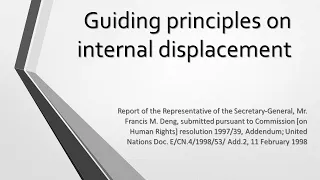 Guiding principles on internal displacement