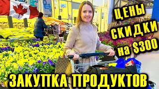 ЗАКУПКА ПРОДУКТОВ / ЗАКУПИЛИ НА НЕДЕЛЮ ПОЛНУЮ ТЕЛЕЖКУ / ПОЛУЧИЛИ ПОДАРОК