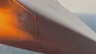 American Airlines plane catches fire after bird strike over Ohio | NewsNation Prime