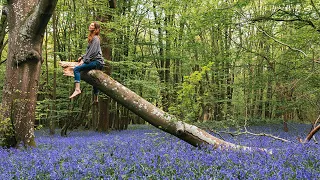 ENCHANTED BLUEBELL FOREST | slow living in the British countryside