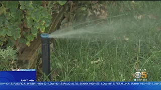 Drought:  Santa Clara County water customers fall far short of water conservation goals in Feb