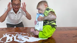 So funny, Monkey Max got scared when spilled milk and the ending unexpected.