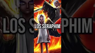 Seraphims Explained | One Piece #shorts