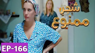 Shajar-e-Mamnu Episode 166 Promo | Turkish Drama | Forbidden Fruit | Urdu Dubb| 28July 2021 | Part-6