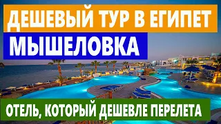 ЕГИПЕТ 4* ШАРМ ЭЛЬ ШЕЙХ ЭТО НУЖНО ЗНАТЬ! ВСЕ ПРО БЮДЖЕТНЫЙ ШАРМ! ШОК ОТЕЛЬ Royal Paradise