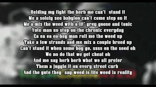 Smoke The Weed - Snoop Lion (Snoop Dogg) "With Lyrics"