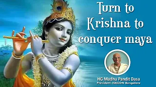 Turn to Krishna to conquer maya | HG Madhu Pandit Dasa | SB 4.6.49 | 16.06.2020