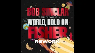 Bob Sinclar - World Hold On (FISHER Rework) ft. Steve Edwards (Studio Acapella)