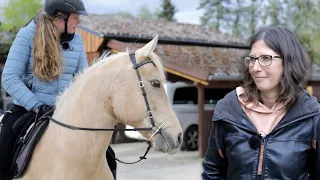 Wallach aus der Westernstadt kann nicht mehr angaloppieren - War das umtrainieren der richtige Weg?