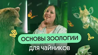 ОСНОВЫ ЗООЛОГИИ ДЛЯ ЧАЙНИКОВ 🦓🐸🦁 | ОГЭ по биологии 2024