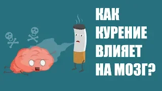 Как курение влияет на мозг человека?