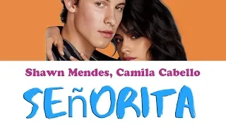 Señorita - Shawn Mendes, Camila Cabello Karaoke, Instrumental with lyrics