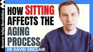 DAVID SINCLAIR “How Sitting Affects The Aging Process” | Dr David Sinclair Interview Clips