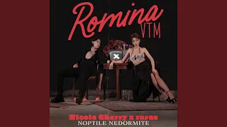 Nopțile nedormite (From "Romina VTM" The Movie)