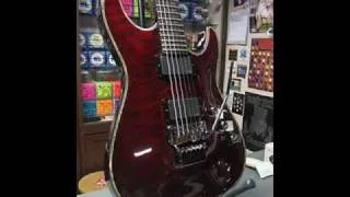 Which guitar should I buy? Schecter or Ibanez?