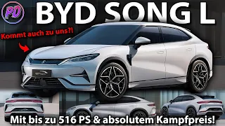 BYD SONG L - Does it destroy the Tesla Model Y?