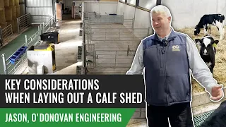 Key Considerations When Laying out a Calf Shed Jason, O'Donovan Engineering