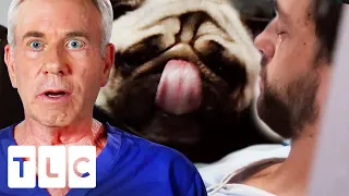 Doctor Attempting to Save Pianist’s Finger Swallowed By A Pug  | Untold Stories of the E.R.