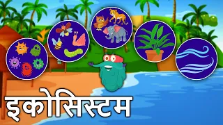 इकोसिस्टम | पारितंत्र | Ecosystem In Hindi | Dr.Binocs Show | Types Of Ecosystem | Binocs Ki Duniya