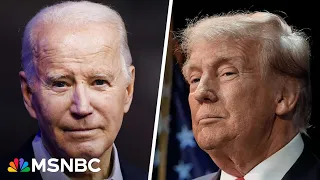 'It’s about saving democracy': Biden-Harris campaign insider reveals path forward for campaign