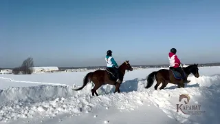 Russian winter Endurance. "Karamat" stable