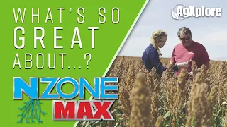 What's So Great About... NZONE MAX?