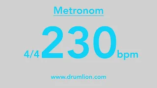 230 bpm - 4/4 | DRUMLION