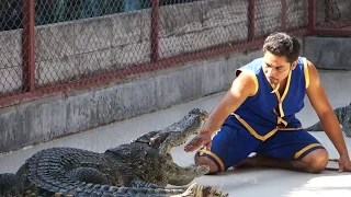 Crocodile show Шоу крокодилов на острове Пхукет Тайланд