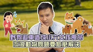 【谷阿莫】1.9萬隻流浪動物要去哪，政府說花1.5億蓋園區但只能收容800隻 / 陳情案