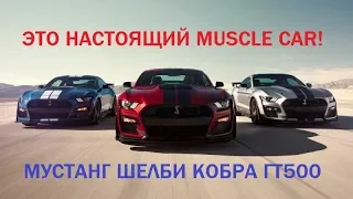 2020 Шелби Кобра на 500 лошадей! Новый Mustang Shelby GT500 обзор, комплектации, цена