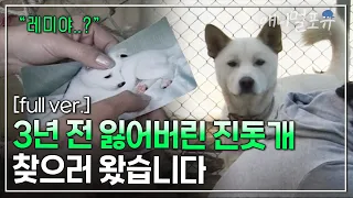 [풀버전] 3년 전 잃어버린 진돗개를 찾으러 온 자매😢 ‘레미’를 찾을 수 있을까? | KBS 현장르포 제3지대 031028 방송