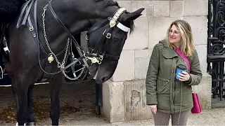 🌟 Most Friendly Regal Horse 🐴 to the Kind and Very Gentle Giant 🦄🌈 Cutest Horse! 🐎💖