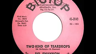 1963 HITS ARCHIVE: Two Kinds Of Teardrops - Del Shannon