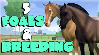 5 NEW FOALS & MORE BREEDING 🧁 Equestrian The Game