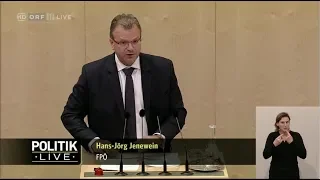 Hans-Jörg Jenewein - Private Sicherheitsfirmen im Parlament - 21.11.2018