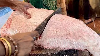 Giant Grouper Fish Cutting In Fish Market | Hamour Fish Cutting Skills BD