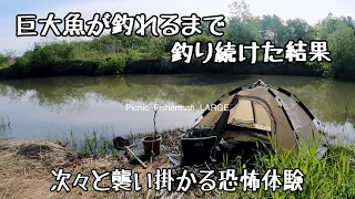 【釣りキャンプ】遂にぬし交代！巨大魚を庭池に放す！川でキャンプ飯