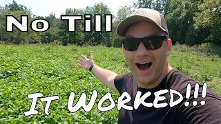 No Till Food Plot Follow Up