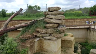 Le Courrier de l'Ouest - Le Bioparc de Doué-la-Fontaine vu du ciel