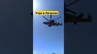 Ударный Ка-52 «Аллигатор» в небе над Луганском #shorts #донбас #ка52 #донбас #луганск