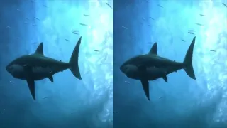 VR 3D Extreme Ocean World Compilation   3D Side by Side SBS VR Active Passive