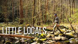 Chasing WILD TROUT in the Smoky Mountains | Little Locals