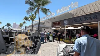 Puerto Vallarta - Flugreise mit Hund -