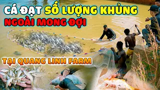 Quanglinhvlogs || Kéo Lưới Cá Tại Quang Linh Farm, Bất Ngờ Với Số Lượng Khủng - Ngoài Mong Đợi.