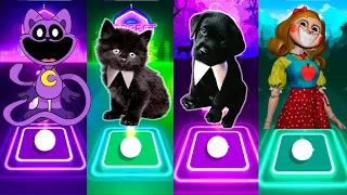 CATNAP VS CUTE CAT VS CUTE DOG LADY GAGA BLOODY MARY VS MISS DELIGHT VS TILES HOP EDM RUSH