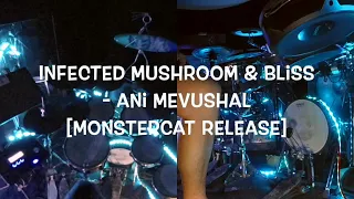 Infected Mushroom & Bliss   Ani Mevushal Monstercat Release   SD 480p